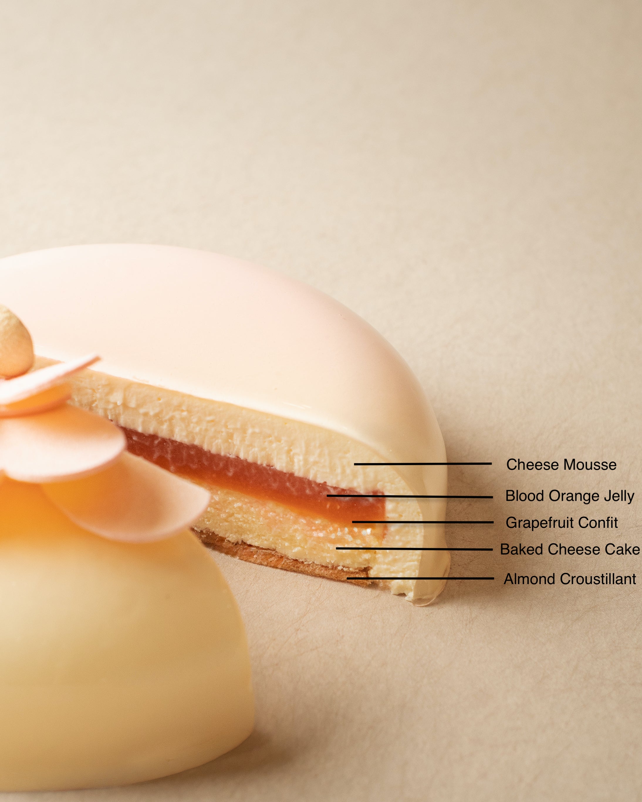 Pink Blossom cross-section showing layers: Cheese Mousse, Blood Orange Jelly, Grapefruit Confit, Baked Cheese Cake, Almond Croustillant
